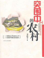 突围中的农村