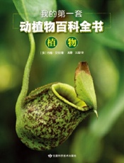 我的第一套动植物百科全书 6：植物