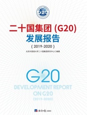二十国集团（G20）发展报告（2019～2020）