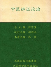 中医辨证论治