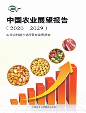 中国农业展望报告（2020-2029）