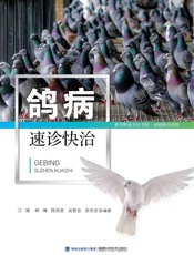 鸽病速诊快治