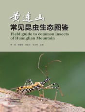 黄连山常见昆虫生态图鉴