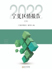 宁夏区情报告2022(下)