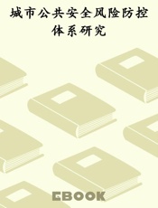 城市公共安全风险防控体系研究