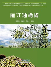 丽江油橄榄