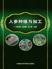 人参种植与加工