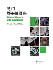 易门野生菌图鉴