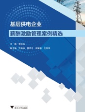 基层供电企业薪酬激励管理案例精选