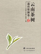 云南茶树遗传资源卷（二）