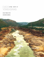 大地映像