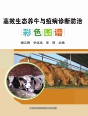 高效生态养牛与疫病诊断防治彩色图谱