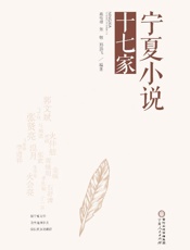 宁夏小说十七家