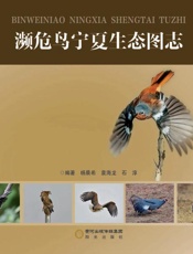 濒危鸟宁夏生态图志