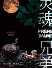 灵魂兄弟