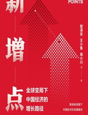 新增点——全球变局下中国经济的增长路径 - 管清友[等]