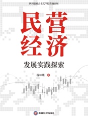 民营经济发展实践探索