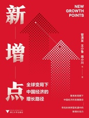 新增点 _ 全球变局下中国经济的增长路径