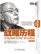 战略历程：穿越战略管理旷野的指南_布鲁斯·阿尔斯