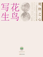观物之心  兰华生花鸟写生创作作品集