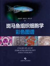 斑马鱼组织细胞学彩色图谱