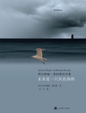 未来是一只灰色海鸥