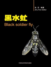 黑水虻