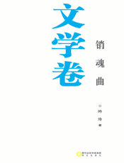 银川文学艺术精品工程（文学卷）——销魂曲