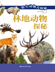 林地动物探秘