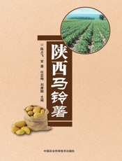 陕西马铃薯