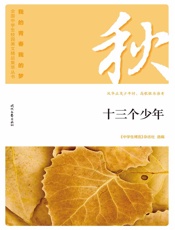 十三个少年