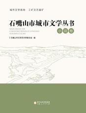 石嘴山市城市文学丛书.小说卷