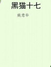 黑猫十七