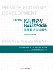 2020年民间投资与民营经济发展重要数据分析报告