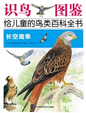 长空鹰隼