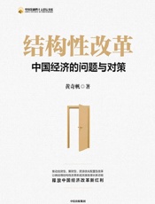 结构性改革：中国经济的问题与对策