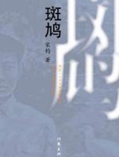 斑鸠：一个北方乡村青年的忏悔录 - 宋钧