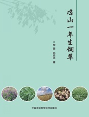 凉山一年生饲草