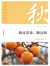路过青春，路过你