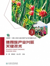 德昂族产业兴旺关键技术