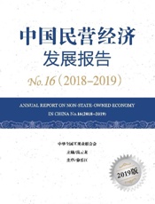 中国民营经济发展报告No.16（2018～2019）