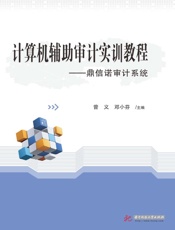 计算机辅助审计实训教程：鼎信诺审计系统