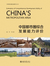 中国都市圈综合发展能力评价