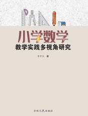 小学数学教学实践多视角研究