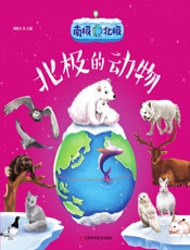 南极北极——北极的动物