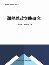 课程思政实践研究