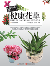 室内健康花草