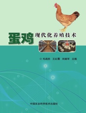 蛋鸡现代化养殖技术