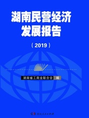 湖南民营经济发展报告.2019