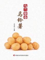 乌兰察布马铃薯